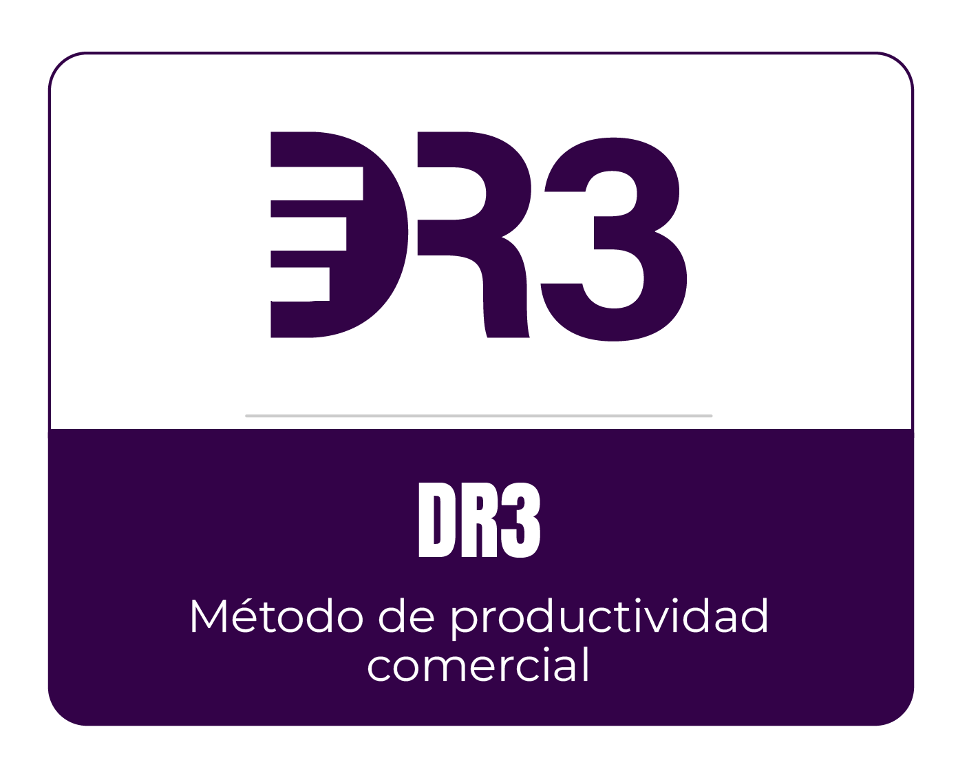 dr3-metodologia creada por Manuel Crespo en Peru-03