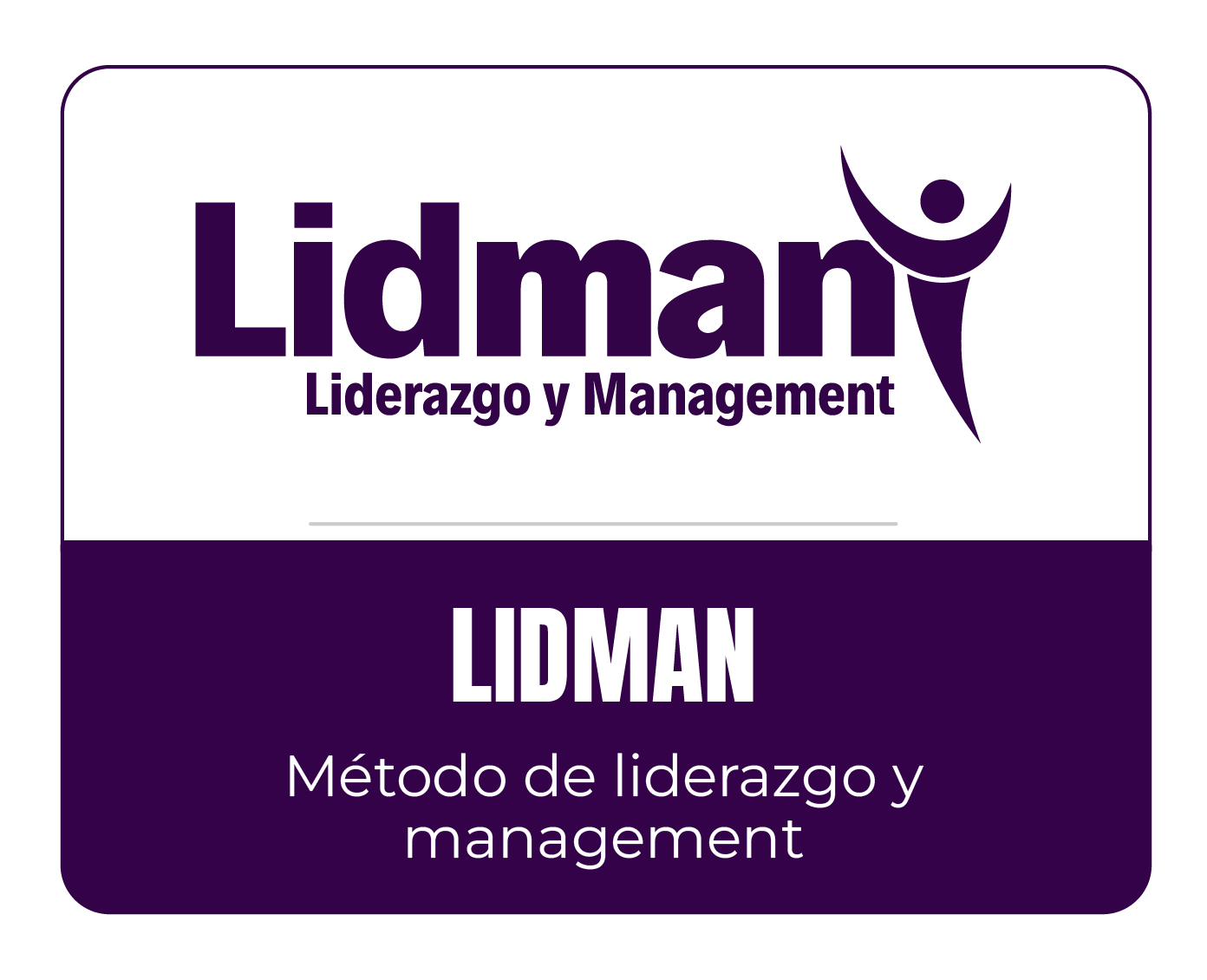 lidman-metodologia creada por Manuel Crespo en Peru-04